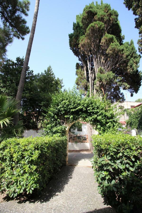 Green House Tropea Exterior photo